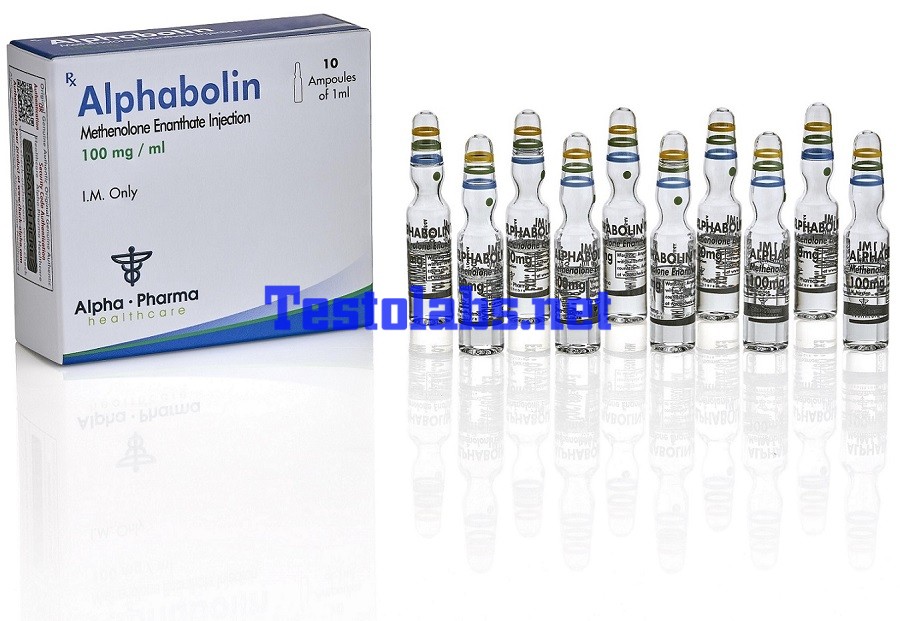 Alphabolin Methenolone Enanthate ampoules by Alpha Pharma